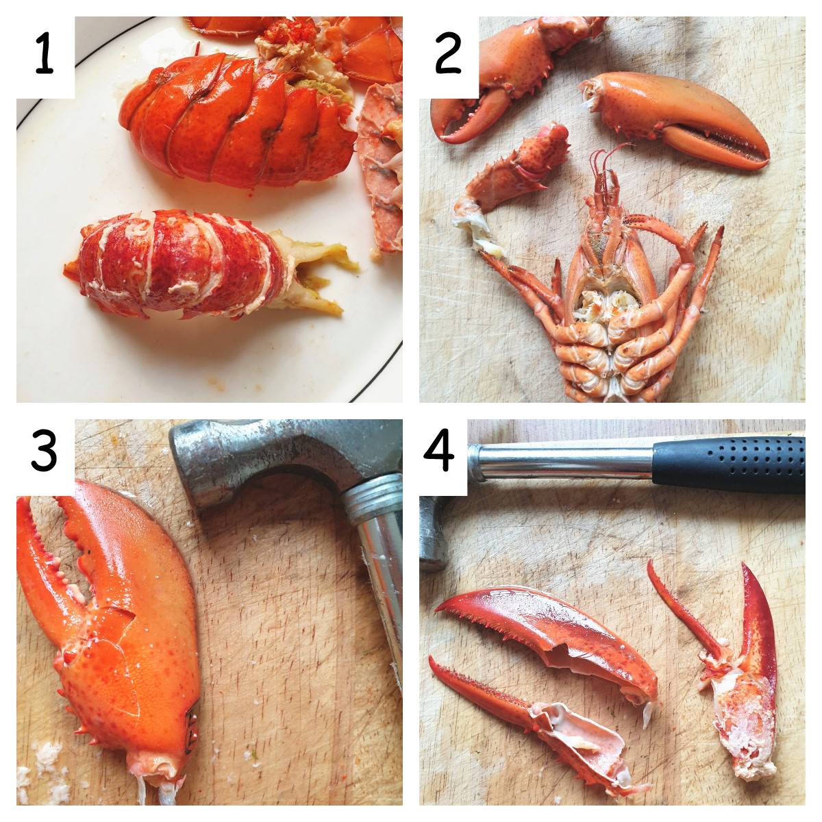 Collage of 4 images showing how to remove meat from the lobster claws.