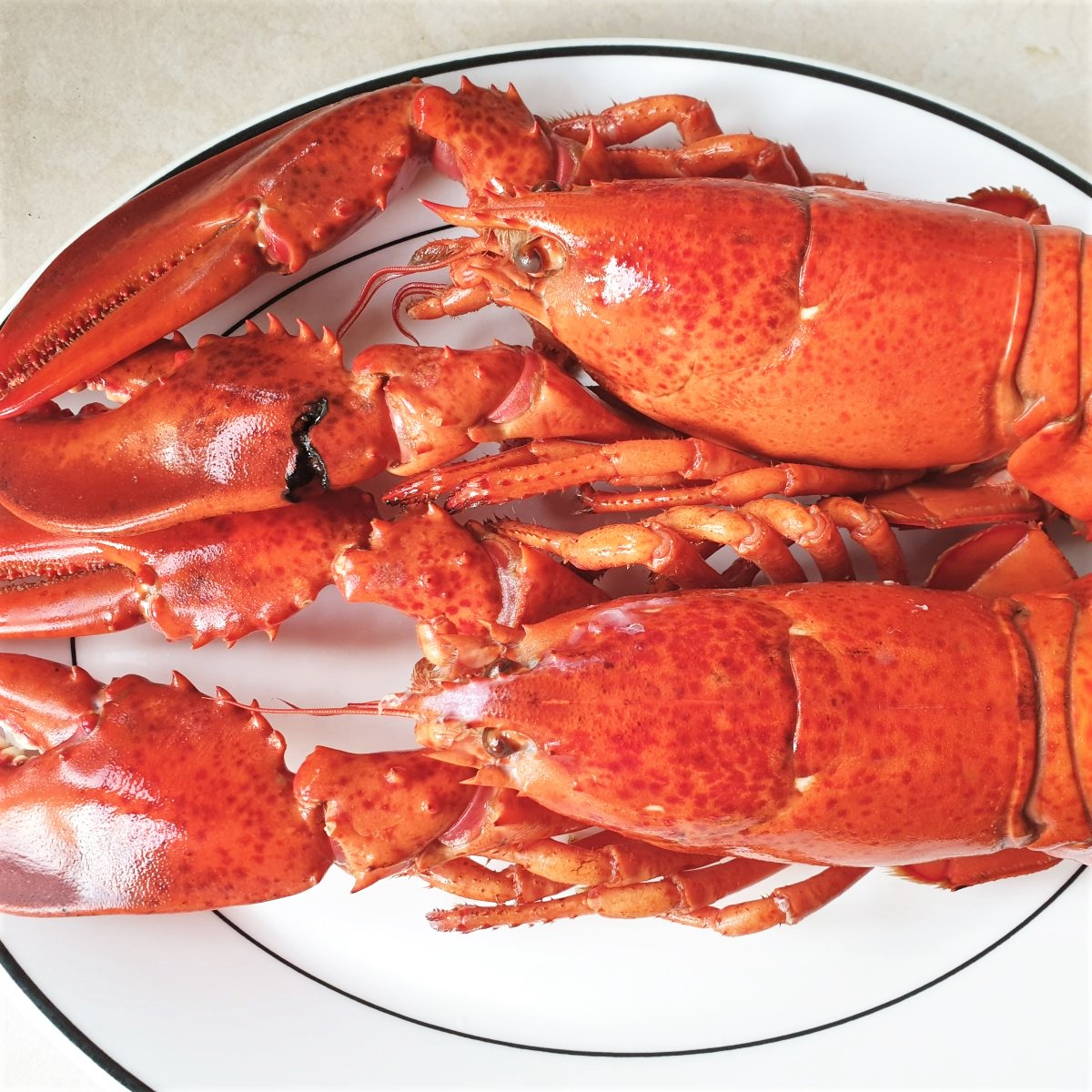 Two lobsters on a plate.