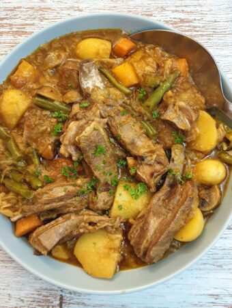 Lamb bredie (lamb stew) in serving bowl.