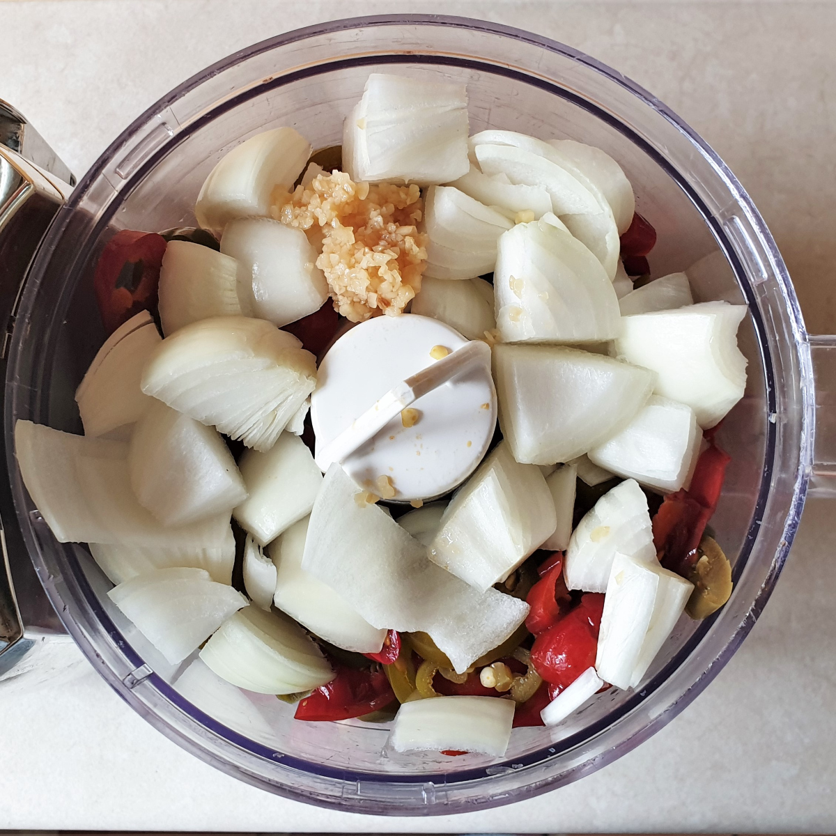 Chili, onion and garlic in a food processor.