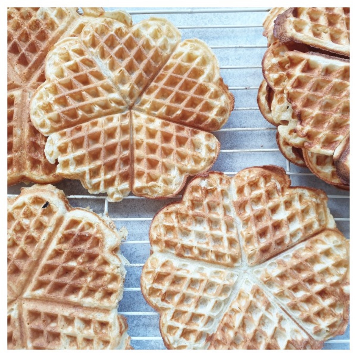 Waffles cooling on a wire rack.