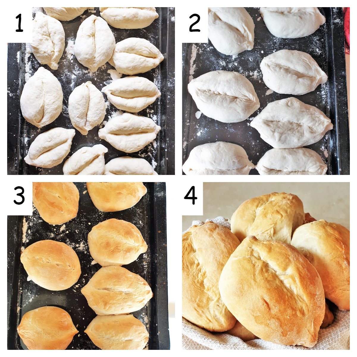 Collage of 4 images showing how to proof and bake the Portuguese rolls.