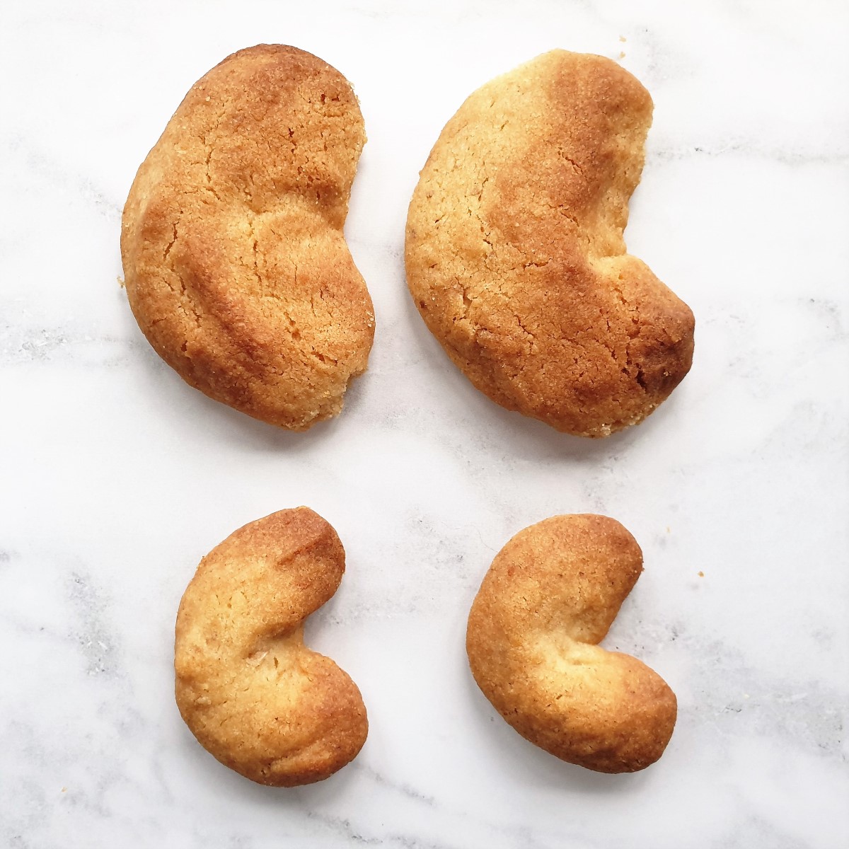 Different-sized walnut crescent cookies after being baked.