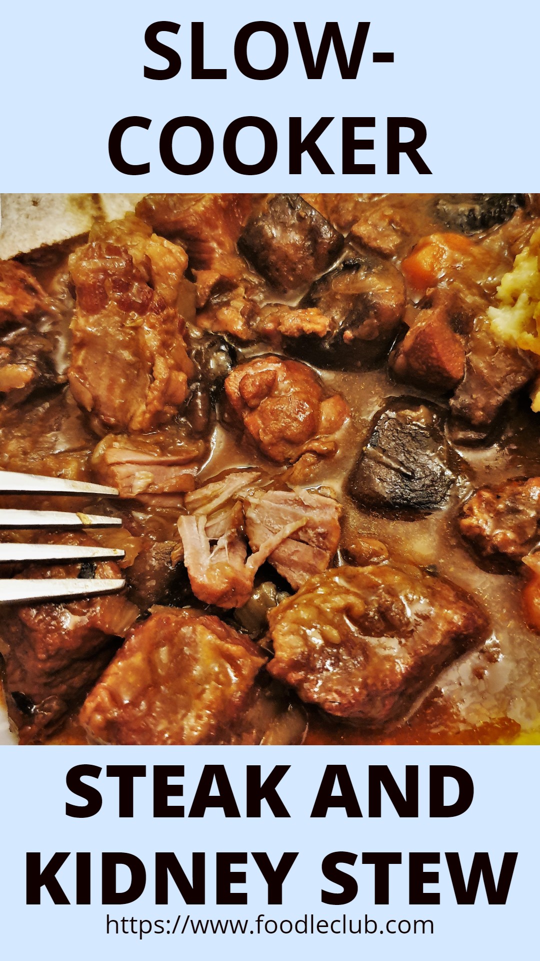 Slowcooker beef and kidney stew Foodle Club