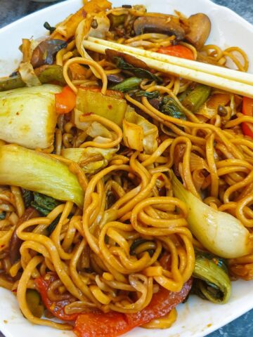 A dish of vegetable lo mein.