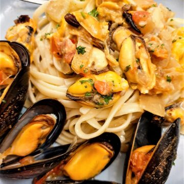 Closeup of plate of fresh mussels with pasta in a spicy tomato sauce.