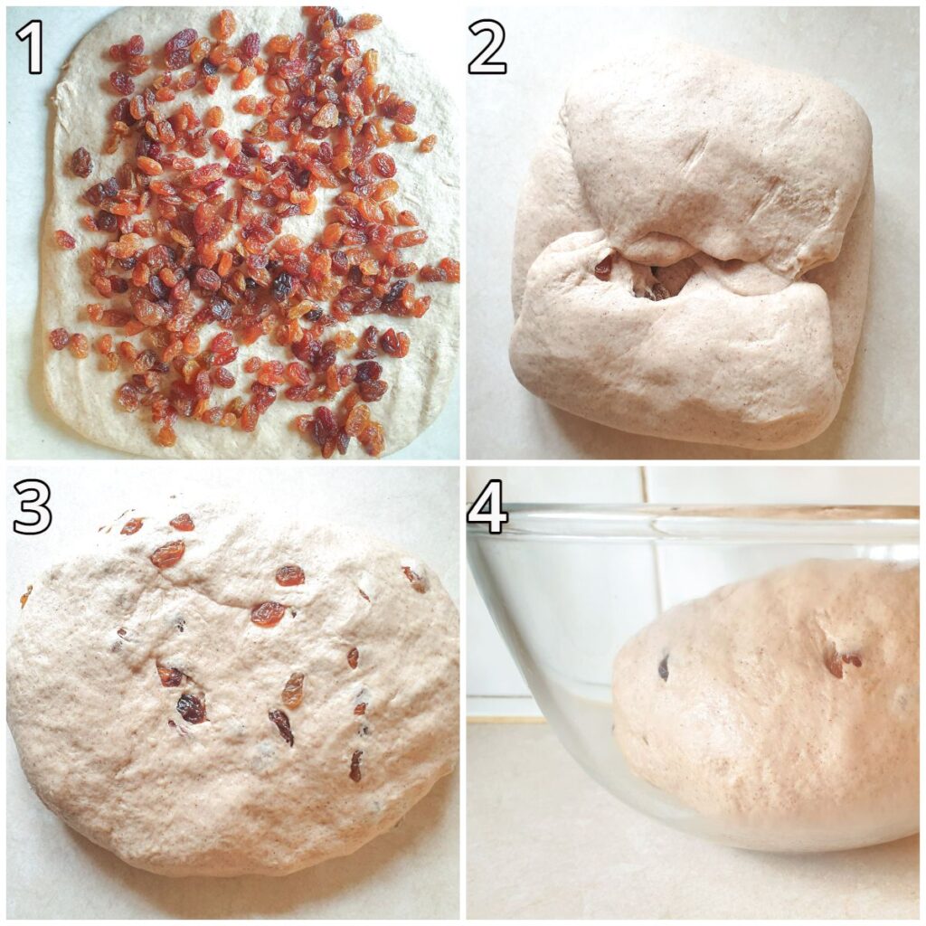 Steps for incorporating the sultanas.