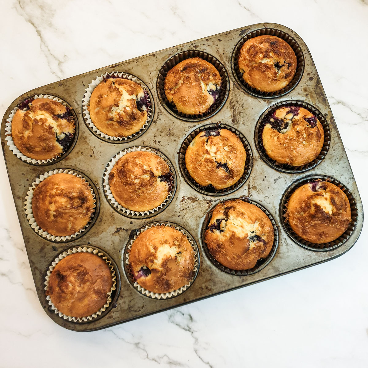 12 baked blueberry muffins in a baking tray.