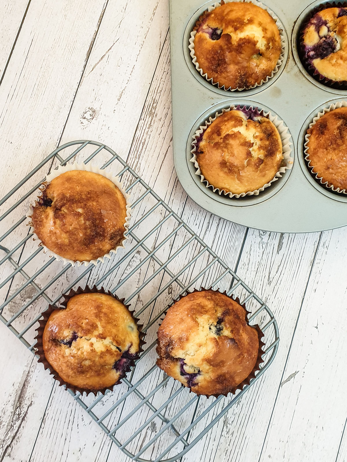 Overhead shot of blueberry muffins on a cooling rack.