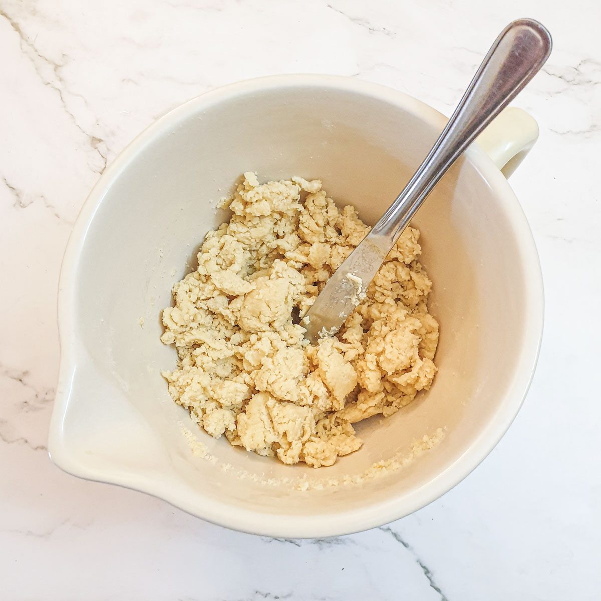 Flour and butter mixed in a bowl with the addition of water to form a shaggy dough.