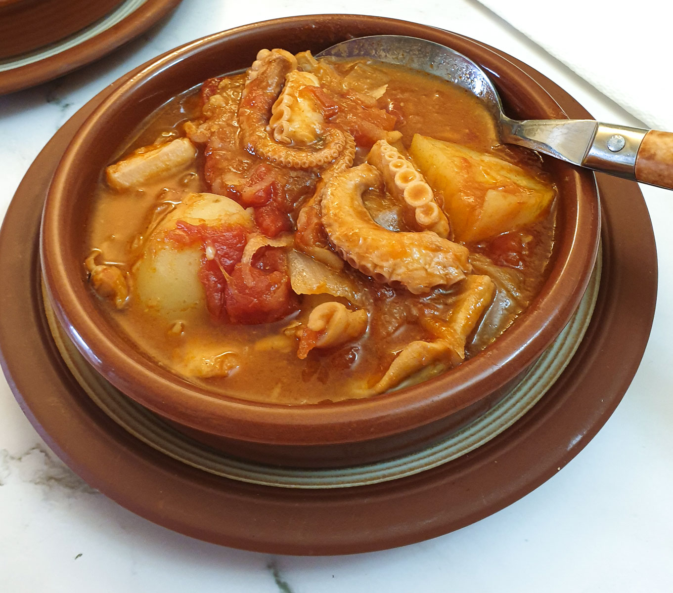 Close up of a dish of octopus stew.