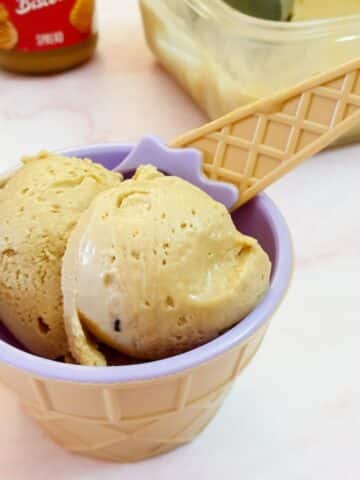 2 scoops of biscoff ice cream in a plastic bowl with a spoon.