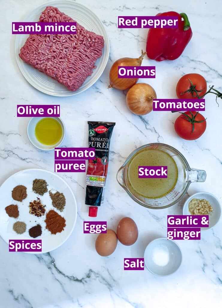 Ingredients for lamb keema.
