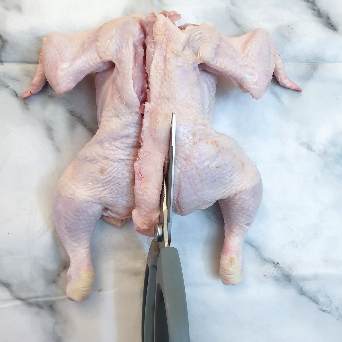 A chicken being cut down the other side of the backbone.