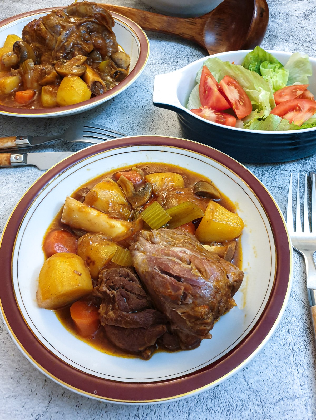 A lamb shank on a red-rimmed plate surrounded by vegetables and gravy.