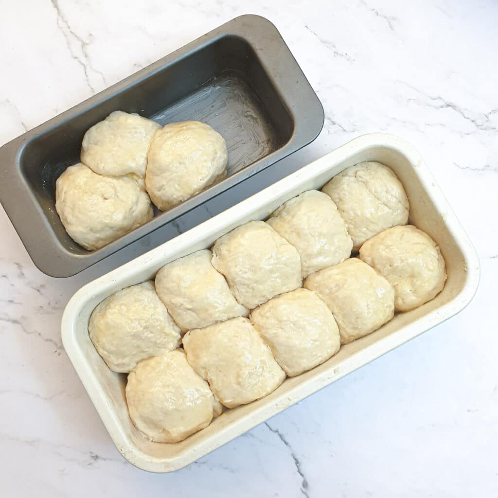 Balls of buttermilk rusk dough packed into 2 baking tins.