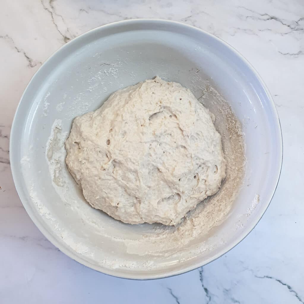 Ciabatta dough in a mixing bowl showing how it has doubled in size.
