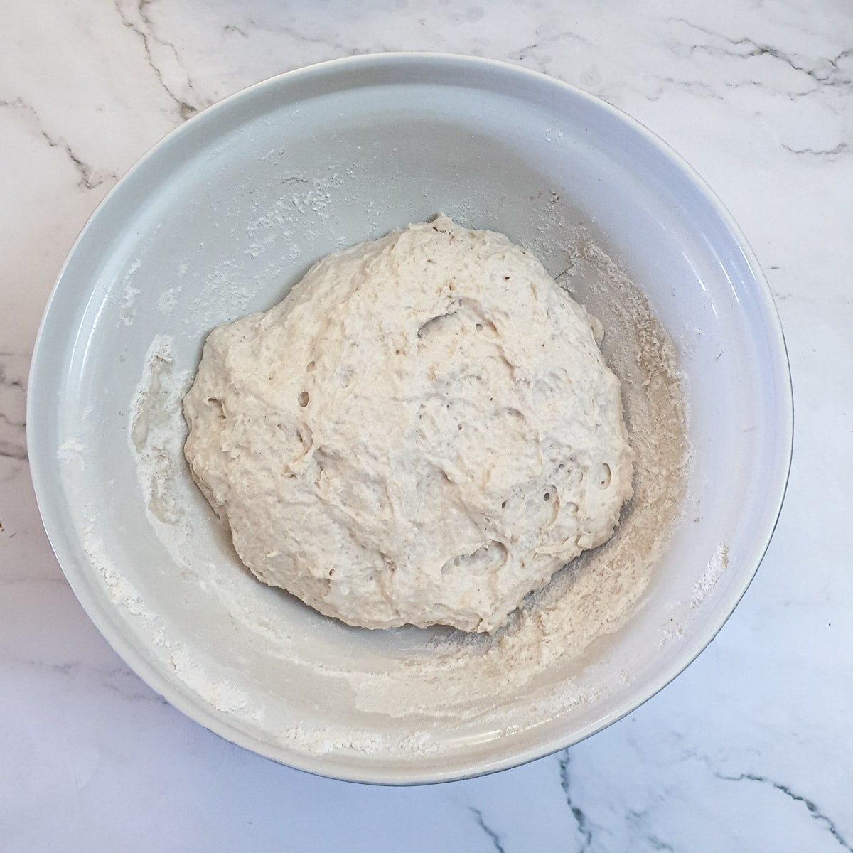 Ciabatta dough in a mixing bowl showing how it has doubled in size.