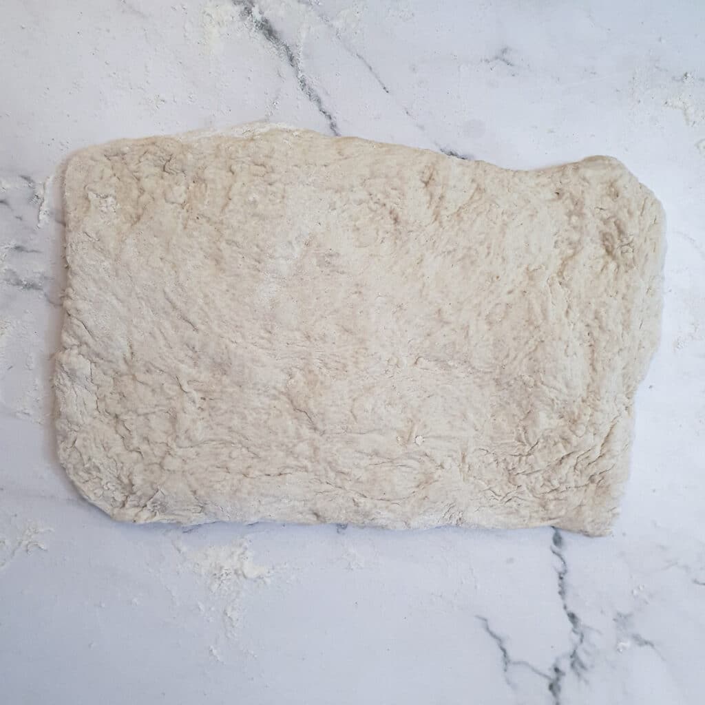 Ciabatta dough pressed out into a rectangle.