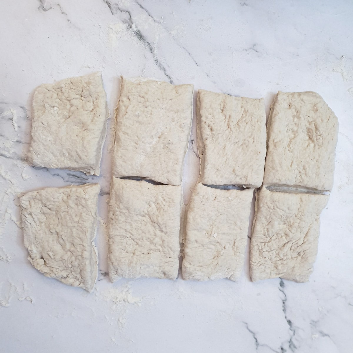 A rectangle of ciabatta dough cut into 8 pieces.