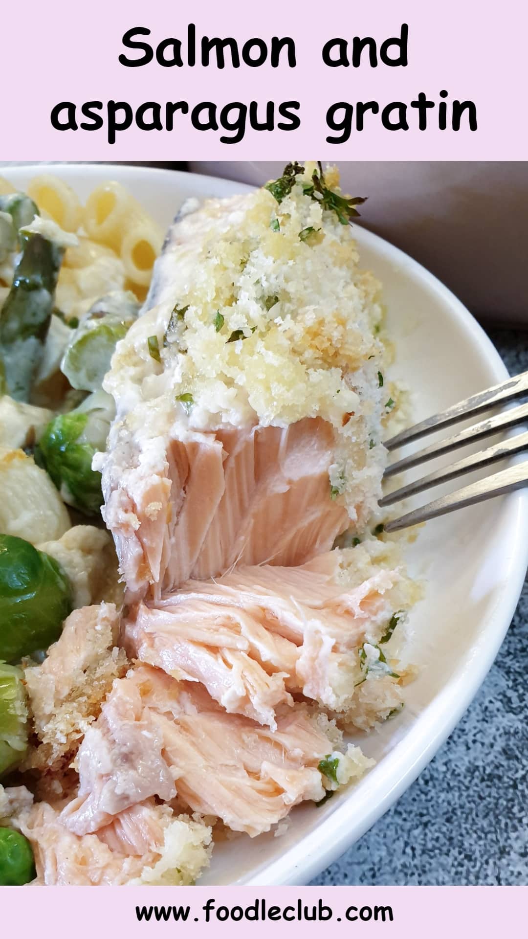 Salmon and asparagus gratin with buttered noodles Foodle Club