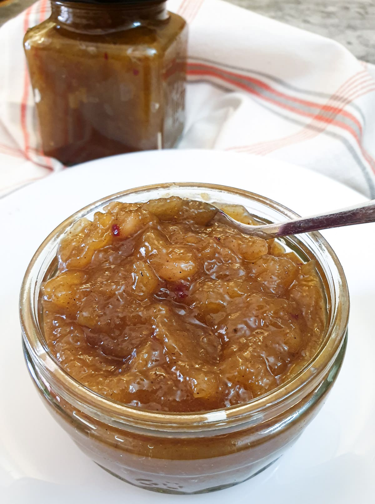 Closeup of a dish of mango chutney.