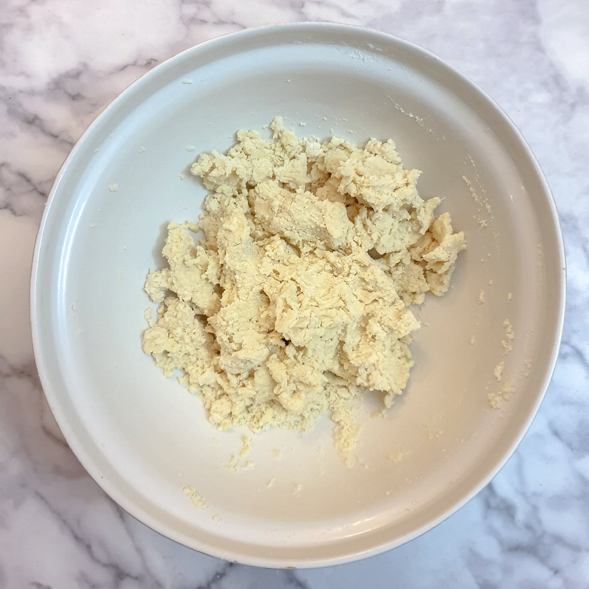 Water mixed into flour and butter to form a shaggy dough.