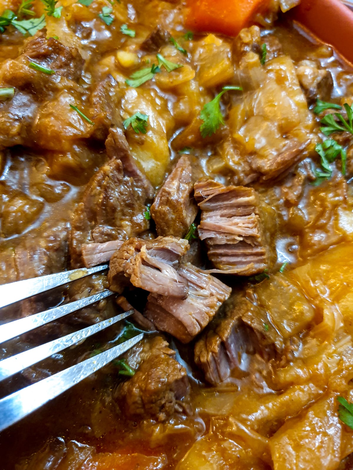 Close up of beef bredie showing a piece of succulent beef being shredded with a fork.