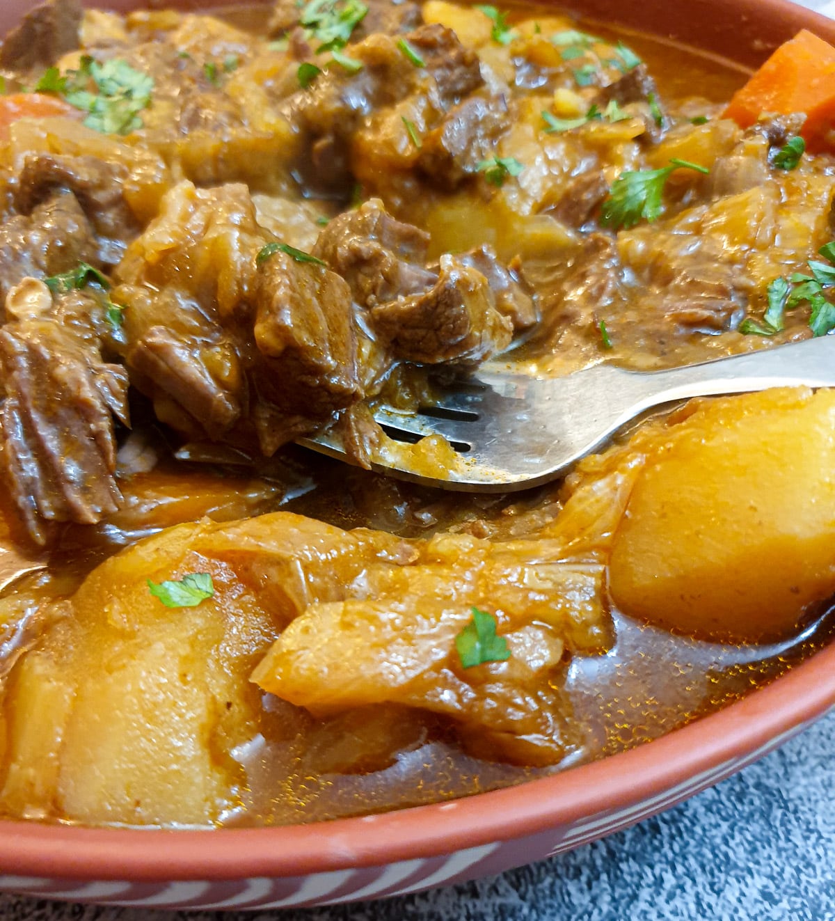 Close up of beef bredie, showing the potatoes and gravy.