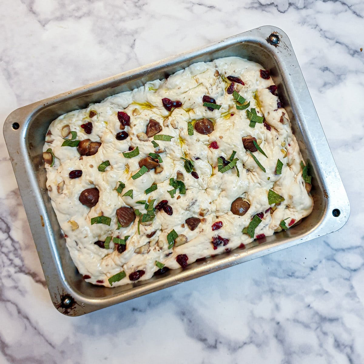 Focaccia dough in a metal baking dish with chestnuts and cranberries on top.