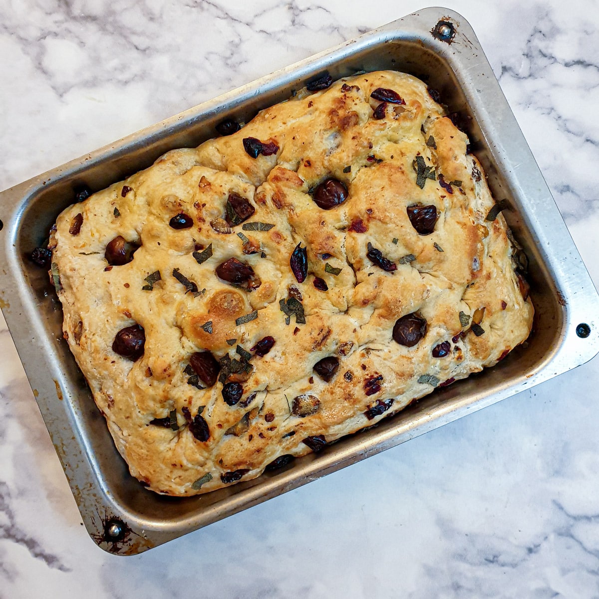 Focaccia dough in a metal baking dish with chestnuts and cranberries on top.