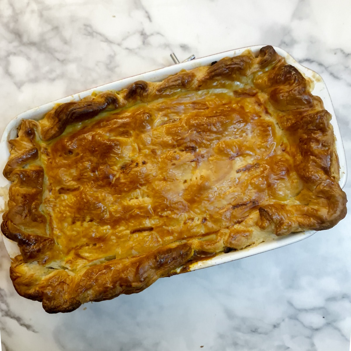 Overhead shot of a baked beef curry pie.