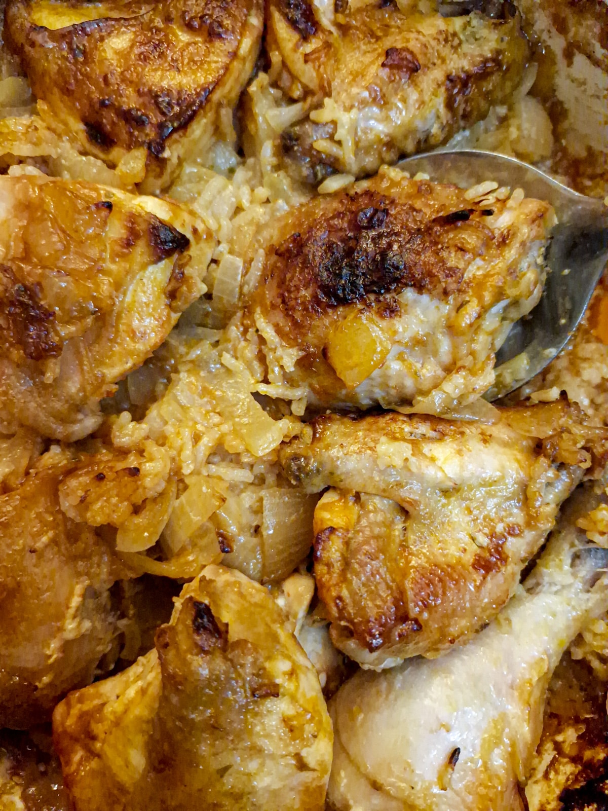Close up of browned chicken pieces on onion rice.