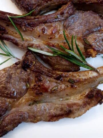 Close up of two pan-fried lamb chops on a white plate with sprigs of rosemary.