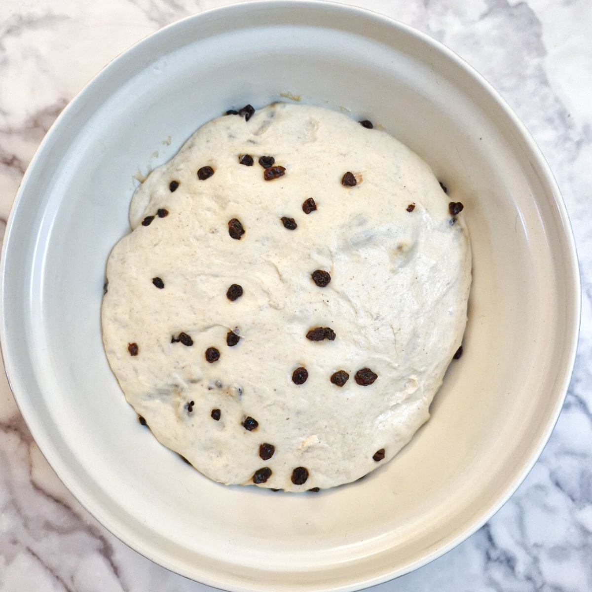 Focaccia dough that has been mixed with raisins, showing how much it has more than doubled in size in 2 hours.