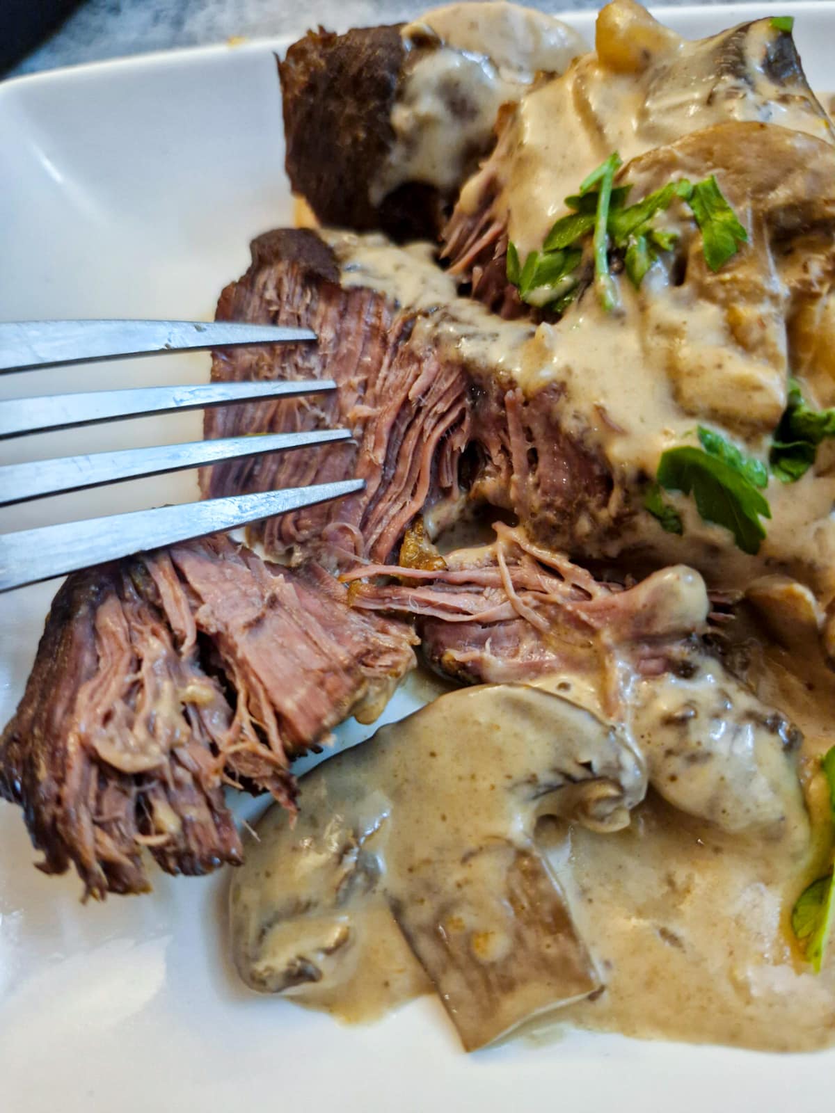 Close up of flat iron steak being shredded with a fork.