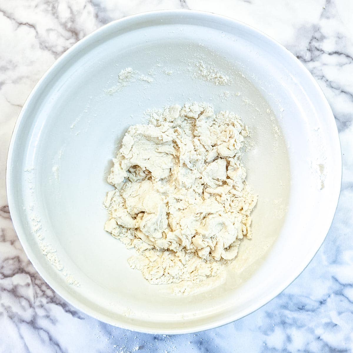 Water mixed into flour and butter to form a shaggy dough.