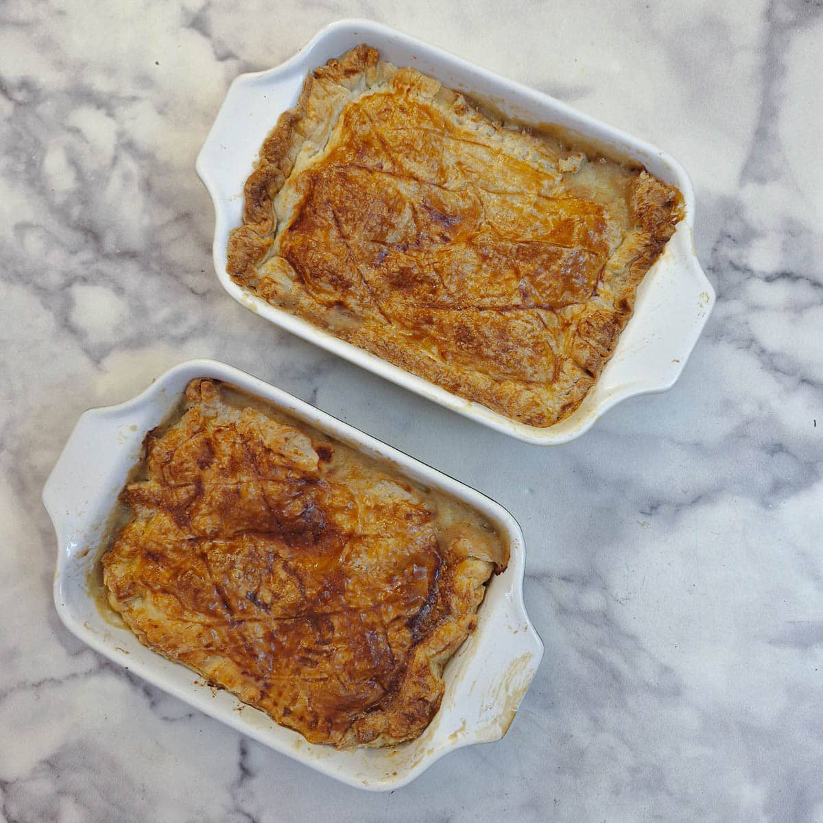 Overhead shot of 2 chicken and mushroom pot pies in white rectangular dishes.