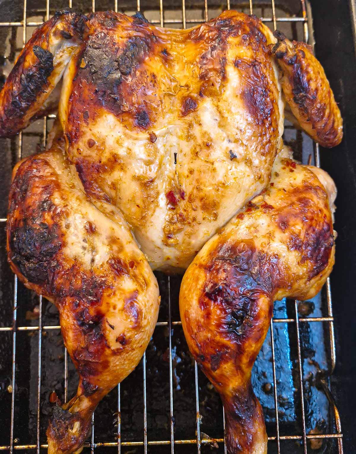 A golden brown oven-baked spatchcock chicken on a baking tray.
