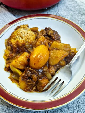 Beef casserole on a red-rimmed plate with a suet dumpling at the side.