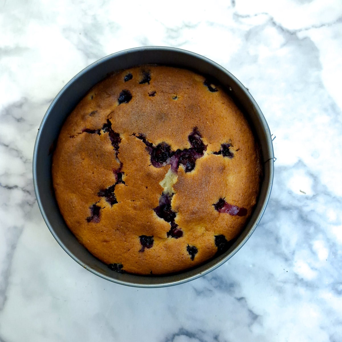 A baked blueberry sponge cake in a baking tin.