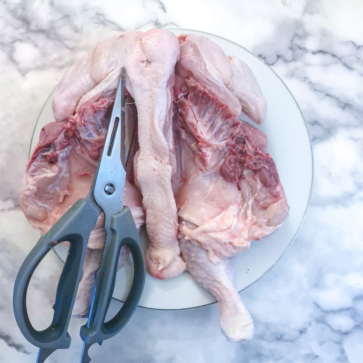 The backbone of a chicken being cut away with kitchen shears.