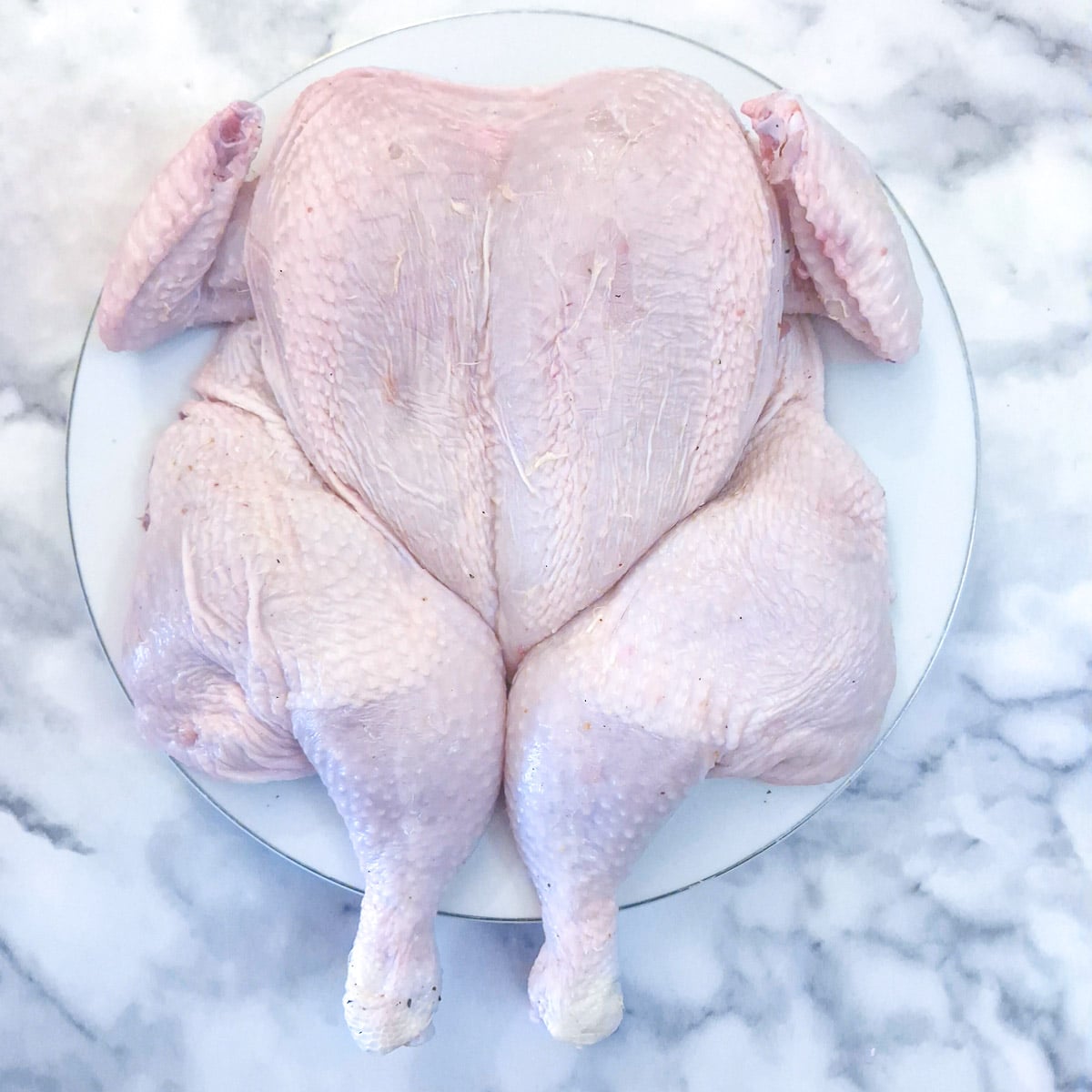 A flattened chicken laying breast-side up on a white plate.