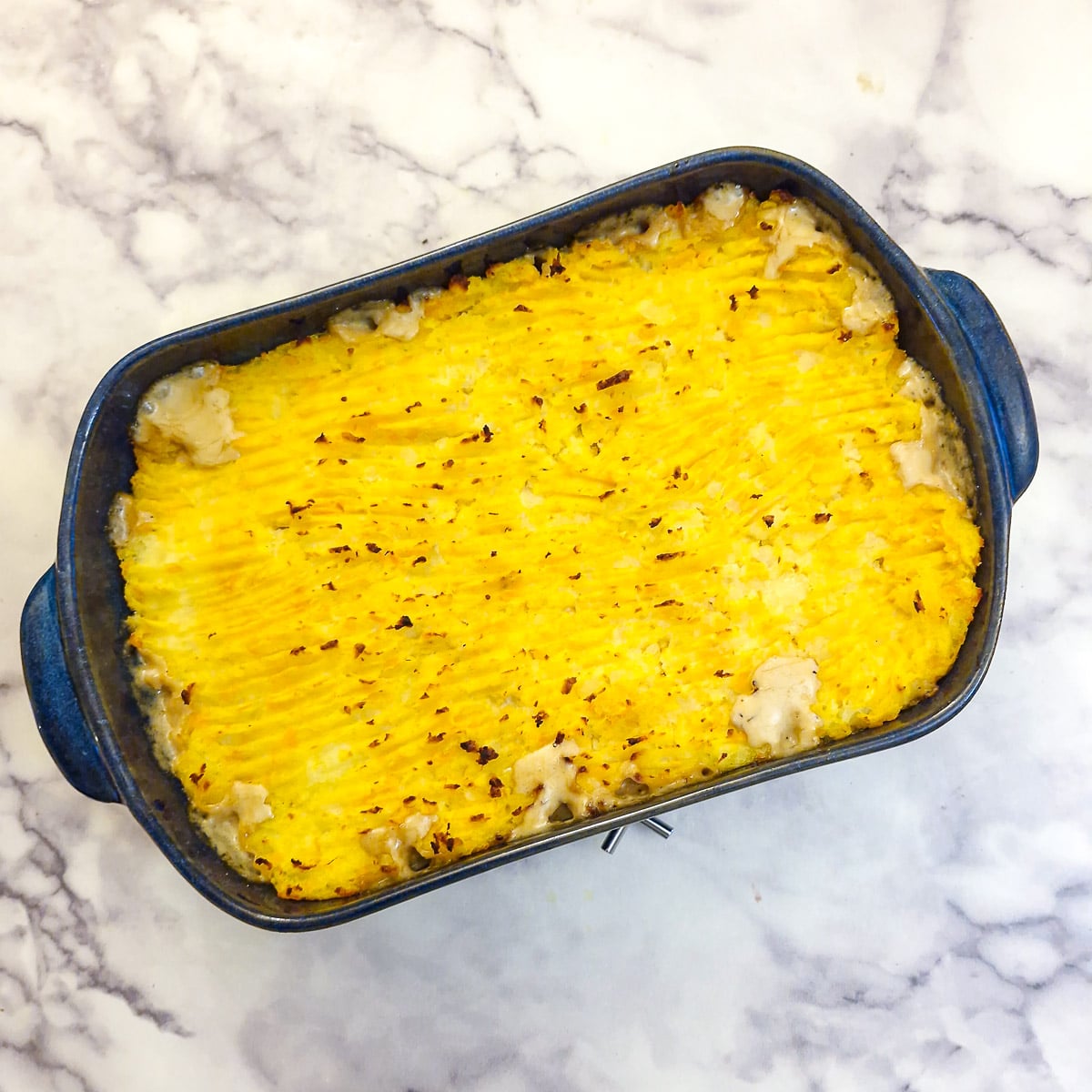 A baked leftover chicken shepherd's pie covered in browned potatoes.