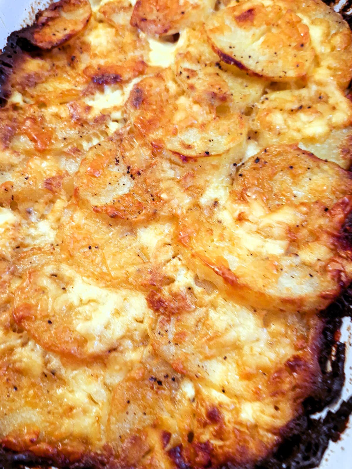 Close-up of the top of a cheesy potato bake, illustrating the layer of cheesy potatoes on top.