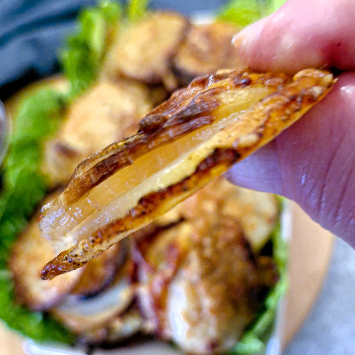 Side on view of a potato and onion slice showing the layers.