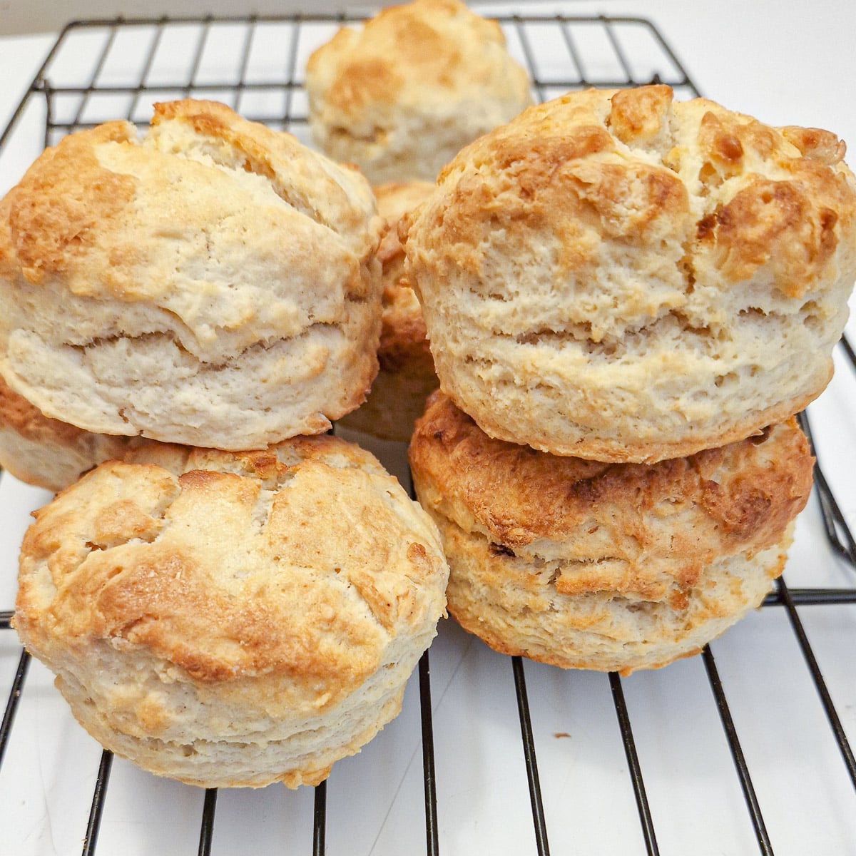 A pile of scones made with cream on a cooling rack.