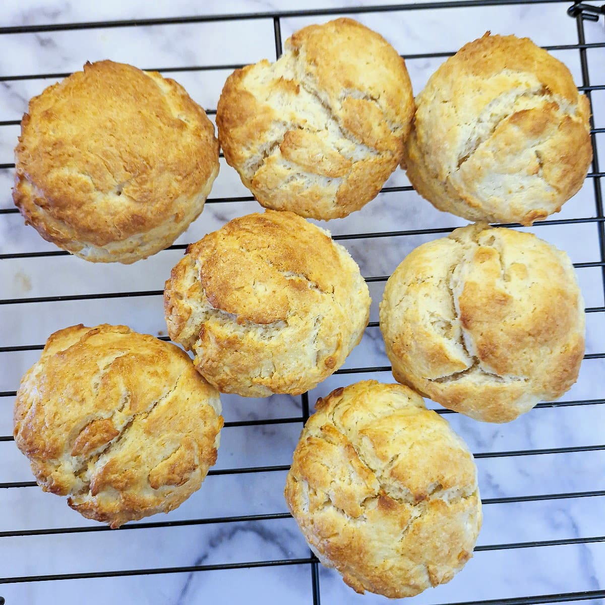 7 cream scones on a cooling rack.