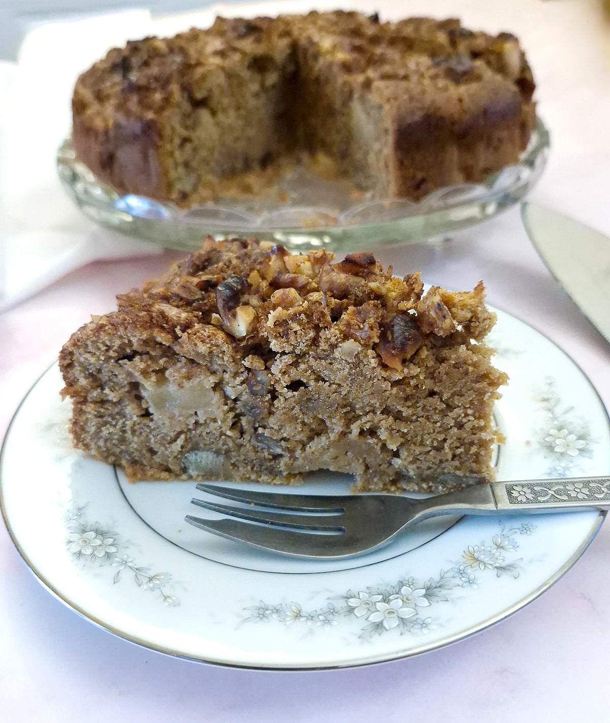 Close up of a slice of apple and chestnut cake.