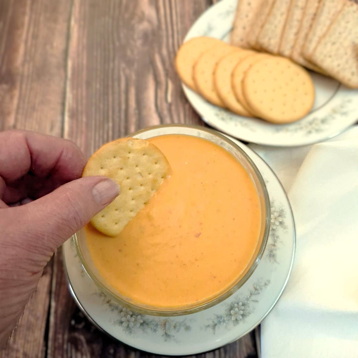 A bowl of capsicum and tomato sauce thickened slightly to form a dip, in a small bowl with a plate of crackers to the side.